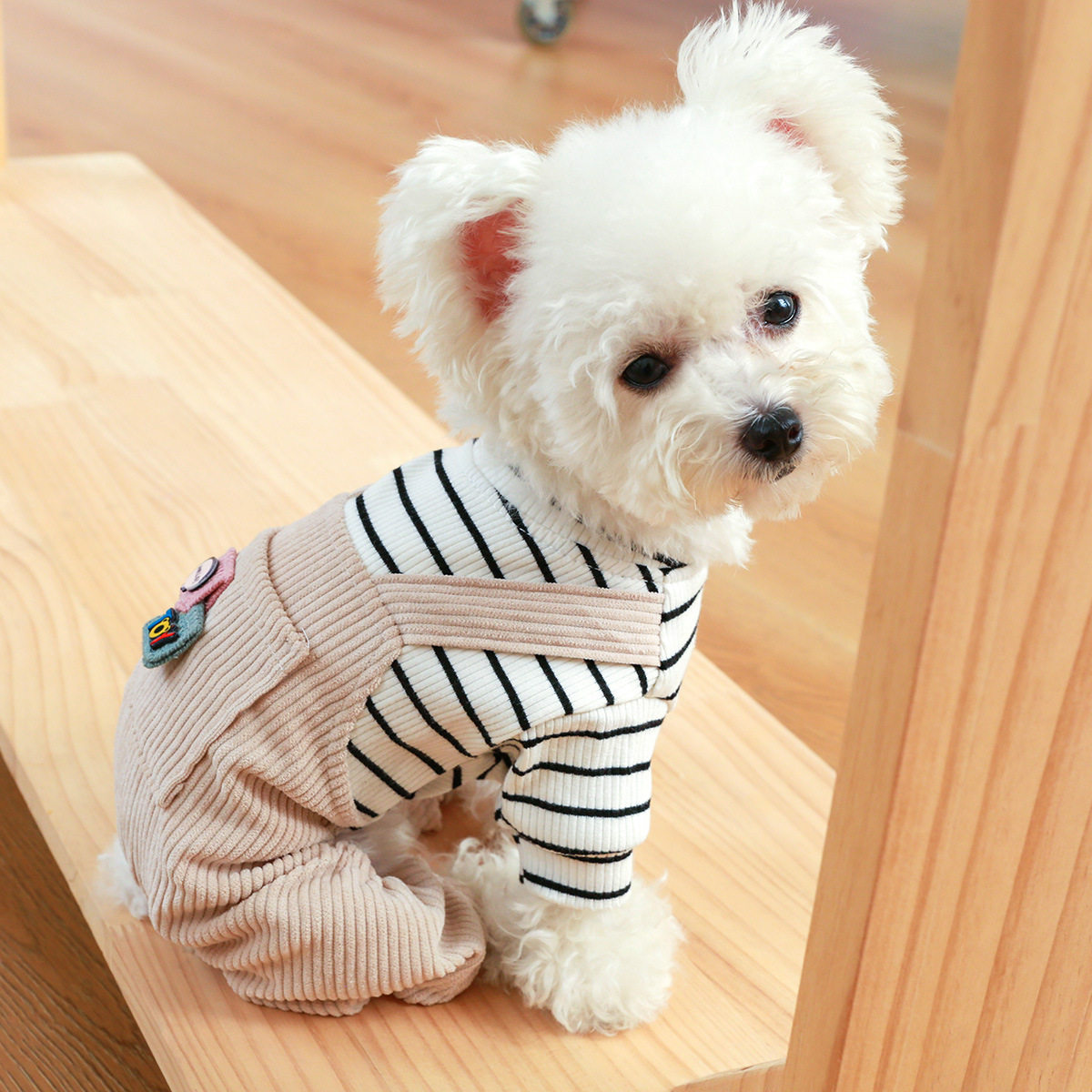 PETCIRCLE宠物圈狗狗四脚