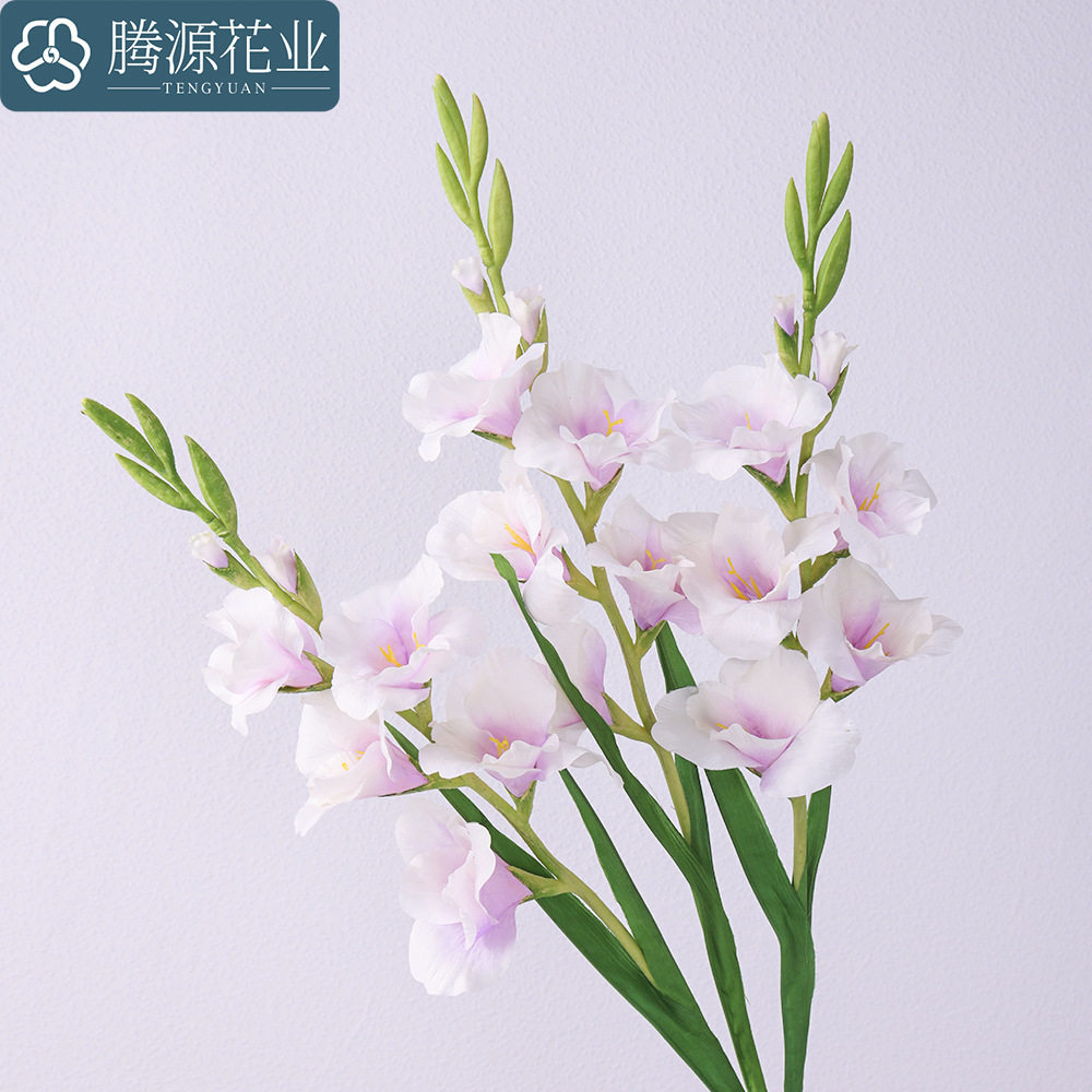 仿真花香芋剑兰北欧婚
