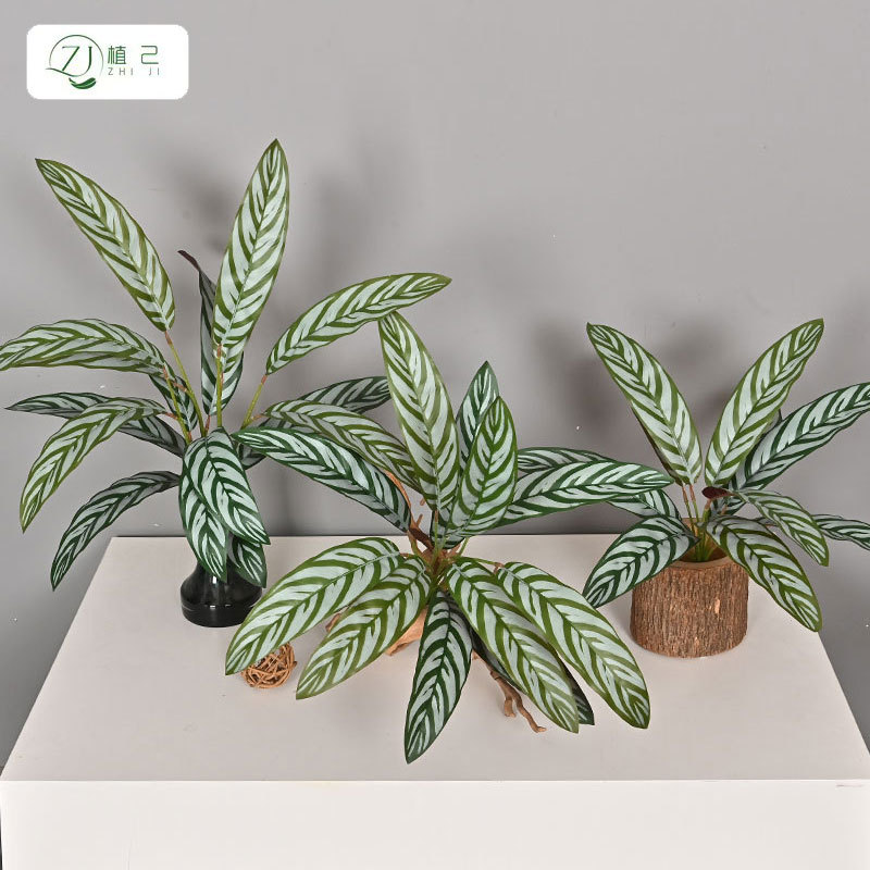 仿真绿植长孔雀手感软胶