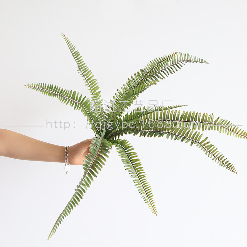 仿真植物蕨类波斯蕨排草