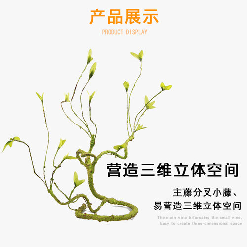 爬宠攀爬树藤树蛙蜜袋鼯
