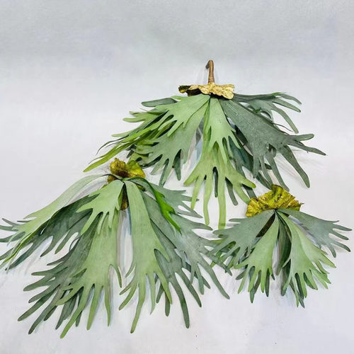 仿真多肉植物鹿角叶厥叶