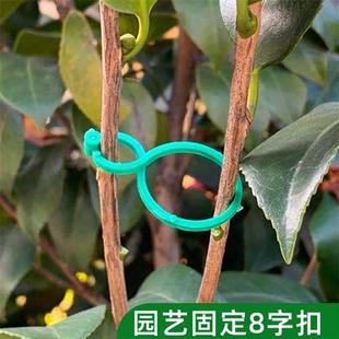 植物固定夹园艺八字扣藤曼爬藤绿植花枝固定器8字扣塑料园林扎带