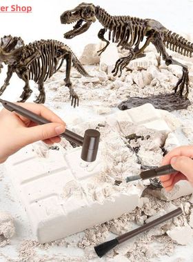 Kids Dinosaur Toy DIY Fossil Archaeology Excavation Kit Skel