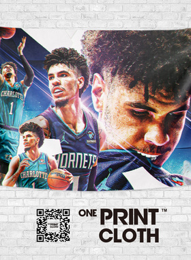 鲍尔LaMelo Ball夏洛特黄蜂篮球球星写真海报墙壁装饰挂布挂毯