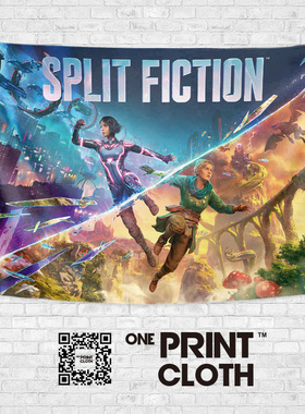 双影奇境Split Fiction游戏周边主题网吧装修海报装饰背景布挂布