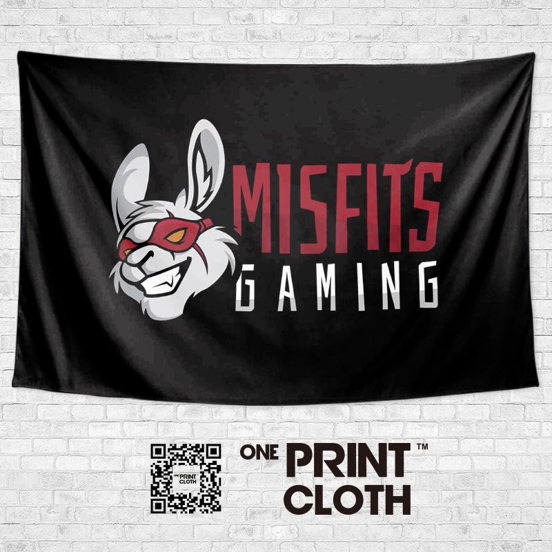 欧洲MisfitsGaming兔子MSF战队