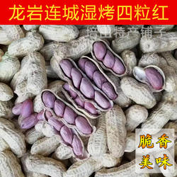 福建连城红衣花生龙岩湿烤花生水煮咸干五香脆酥白晒小种紫衣文亨