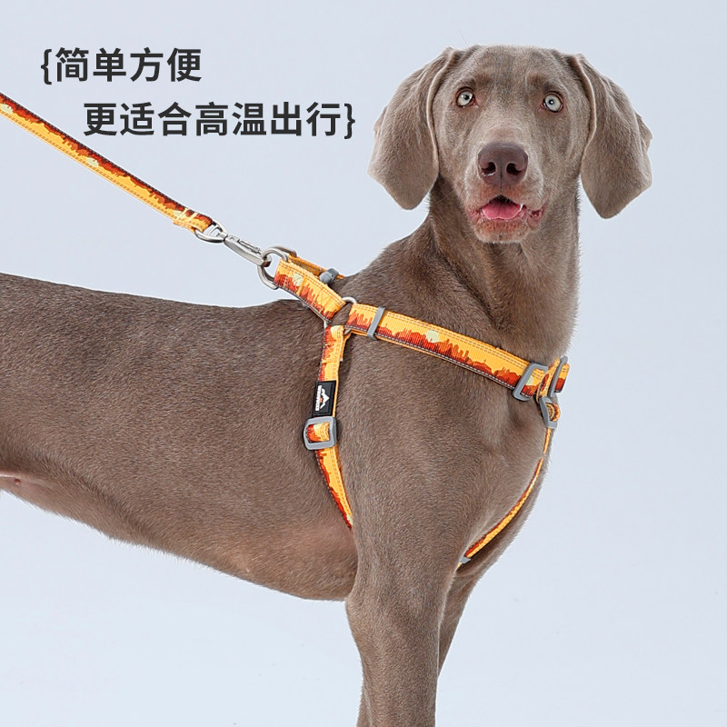 狗狗牵引绳中大型犬Y字型胸背带背心式宠物外出可调节胸背带夏季图片
