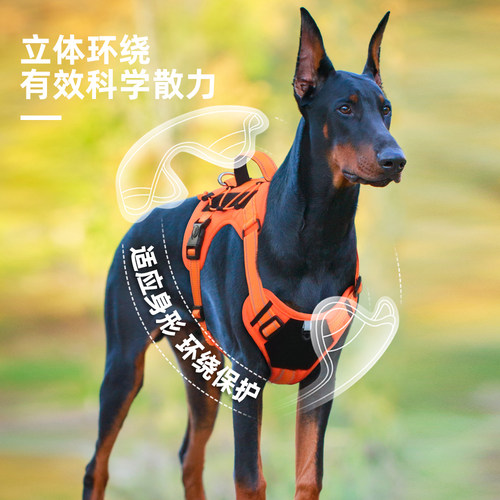 莘语果狗狗牵引绳多功能出行