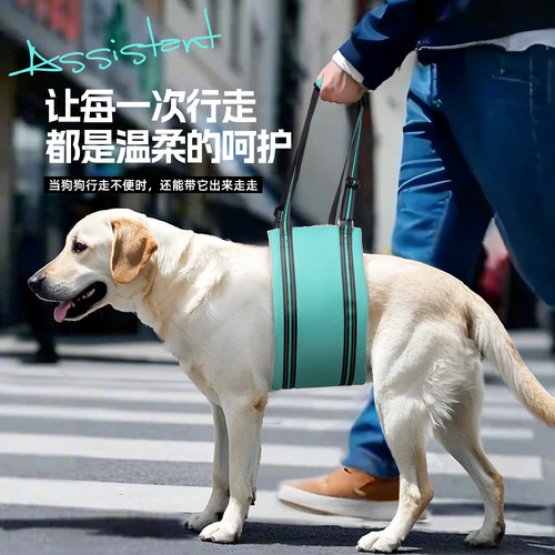 宠物狗狗行走辅助带高龄犬残疾犬老年犬狗狗上下楼前后腿辅助神器
