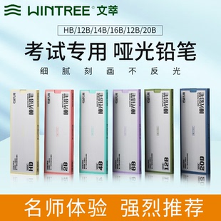 文萃哑光铅笔素描速写炭笔20b不断芯不反光黑科技碳铅专业绘图笔HB/2B/4B/6B/12B美术生专用亚光绘画写生铅笔