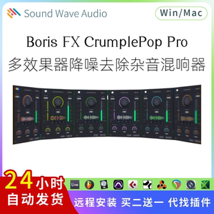蓝宝石捆绑插件降噪去除杂音混响Pc Boris Pro CrumplePop Mac