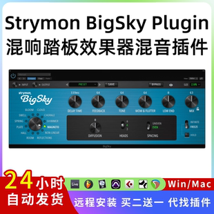 Strymon Plugin 混響踏板效果器混音插件 聲音設(shè)計Win BigSky
