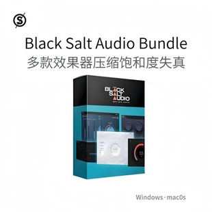 Black Salt Audio Bundle 套装插件 压缩 饱和度 高低 控制Pc/Mac