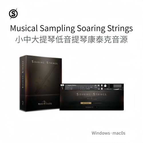 小中大提琴低音提琴康泰克音源Musical Sampling Soaring Strings