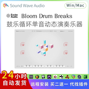鼓乐循环 Breaks 单音动态演奏乐器 打击乐 Mac Bloom Win Drum