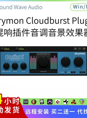 Strymon Cloudburst Plugin 混响插件 音调音景效果器 Win