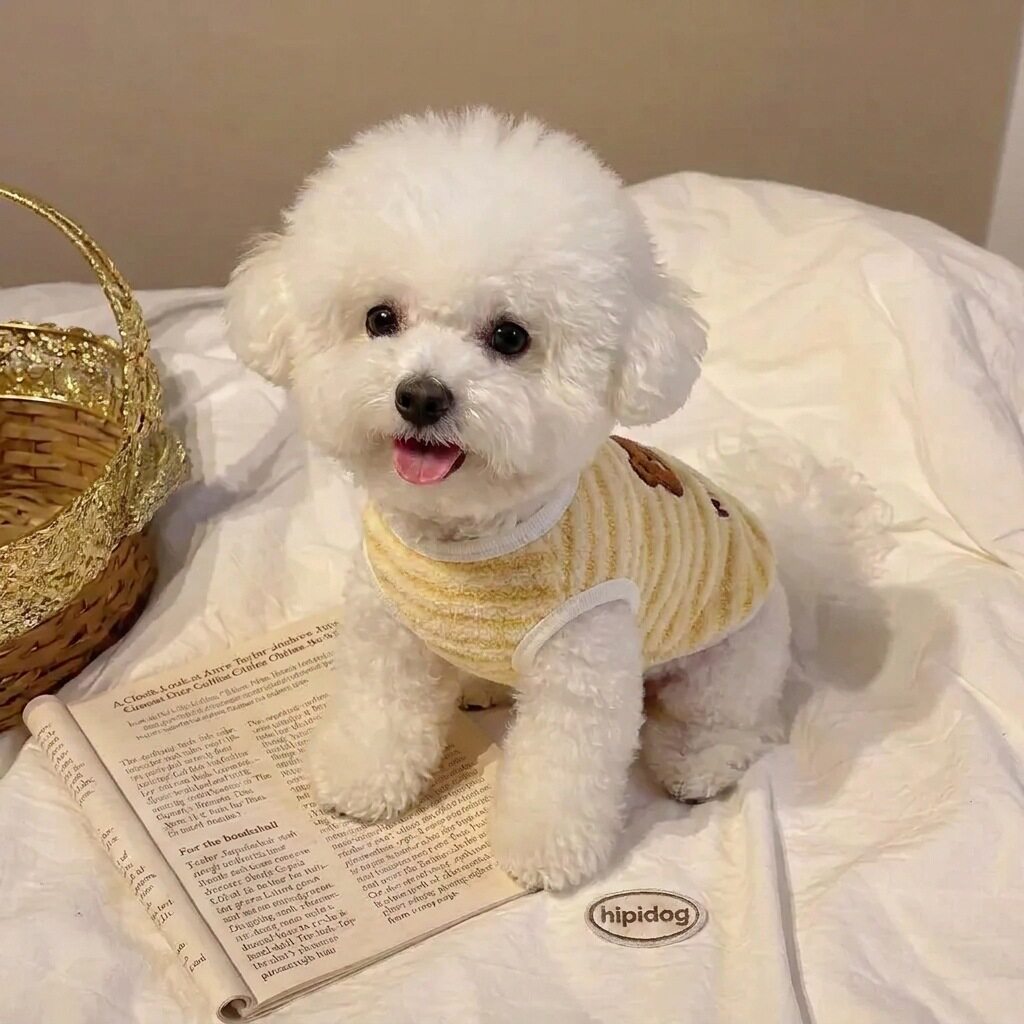 宠物衣服中小型犬羊羔绒保暖马甲比熊泰迪秋冬季服装猫咪狗狗衣服