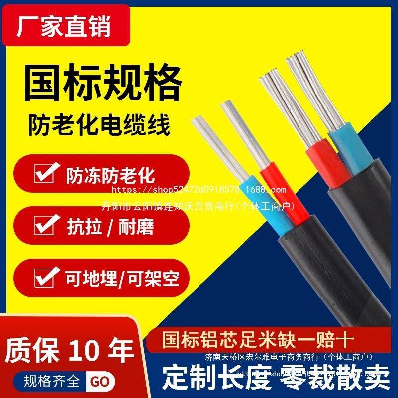 国标2芯铝芯家用户外电缆线电线46101625平方双芯铝线护套线