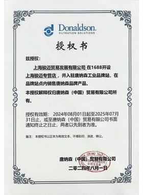 P90209空气滤芯主滤芯带叶片/现代11N624520