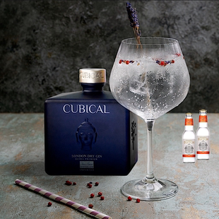 GIN小众杜松子酒 DRY 西班牙天比高特醇优质金酒CUBICAL PREMIUM