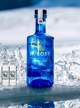 挪威北极光金酒BIVROST ARCTIC GIN提取冰川纯净融化水杜松子酒