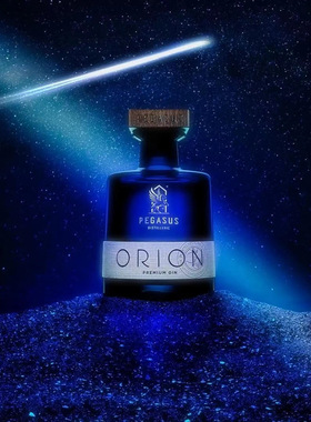 勃艮第优质地下水源 法国Orion PREMIUM GIN飞马猎户座金酒小众酒