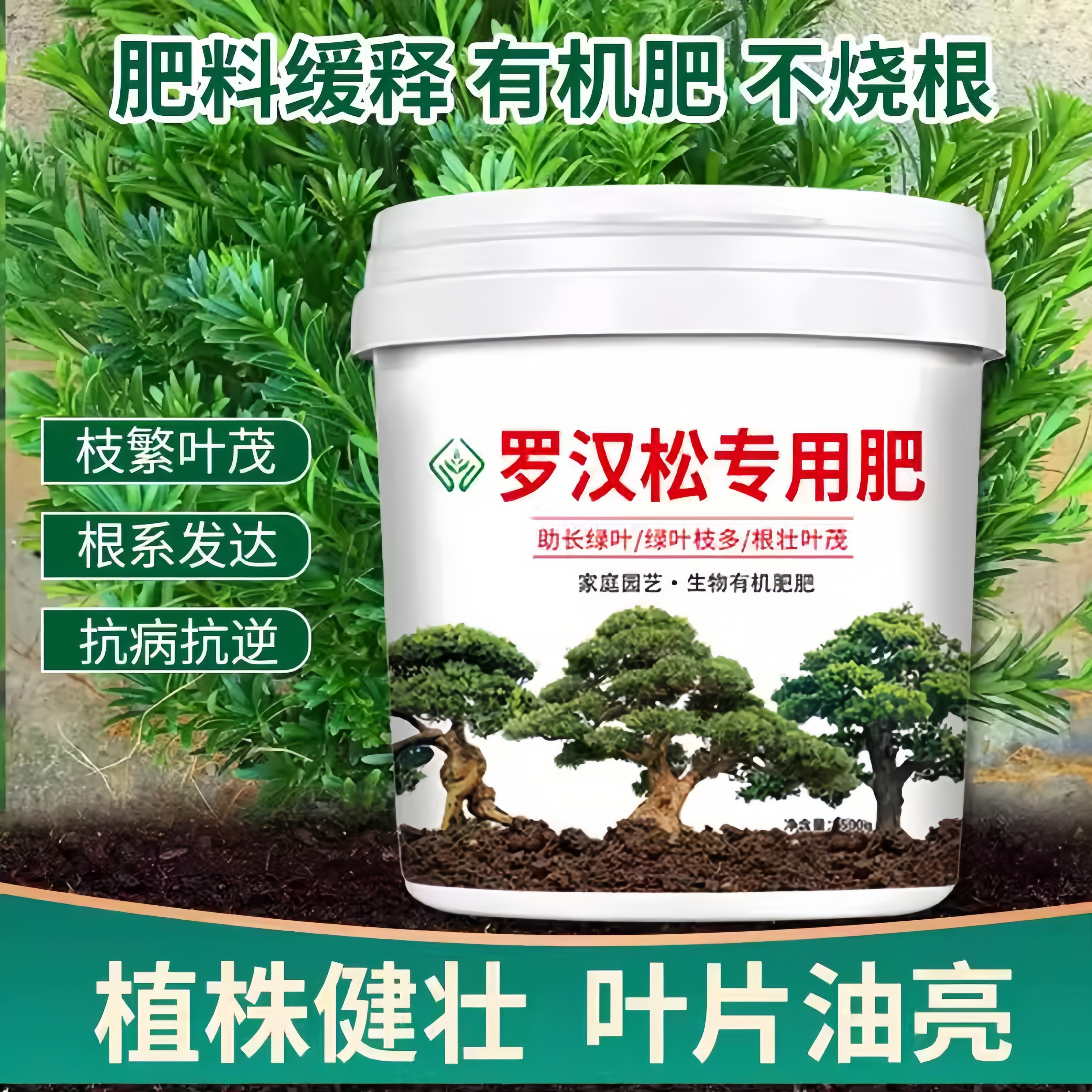 罗汉松专用肥缓释肥松肥生物营养雀舌松树盆景松树绿植肥料壮苗