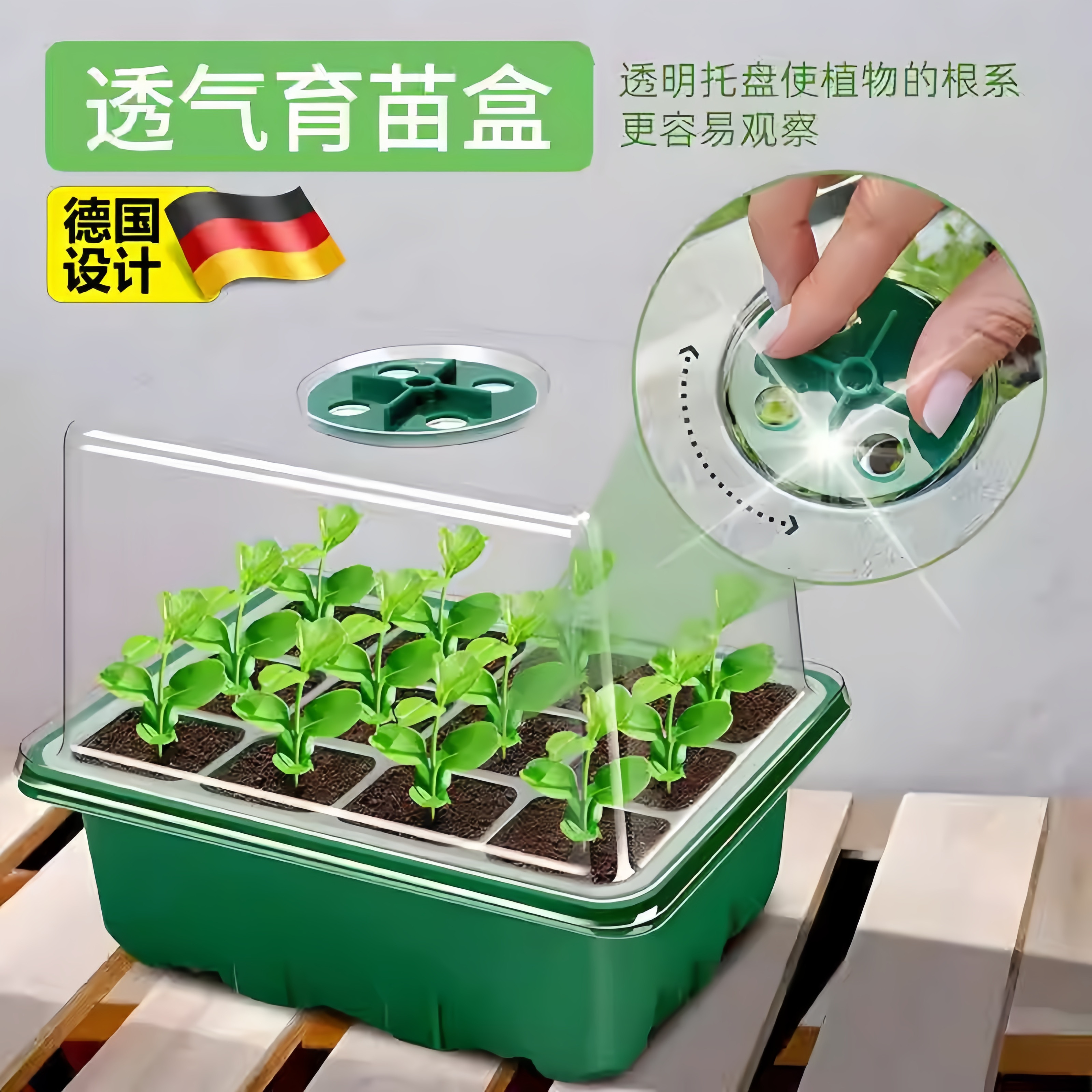 德国育苗盒加高可调节12孔透气育苗盆保温园艺播种保湿带孔养护用