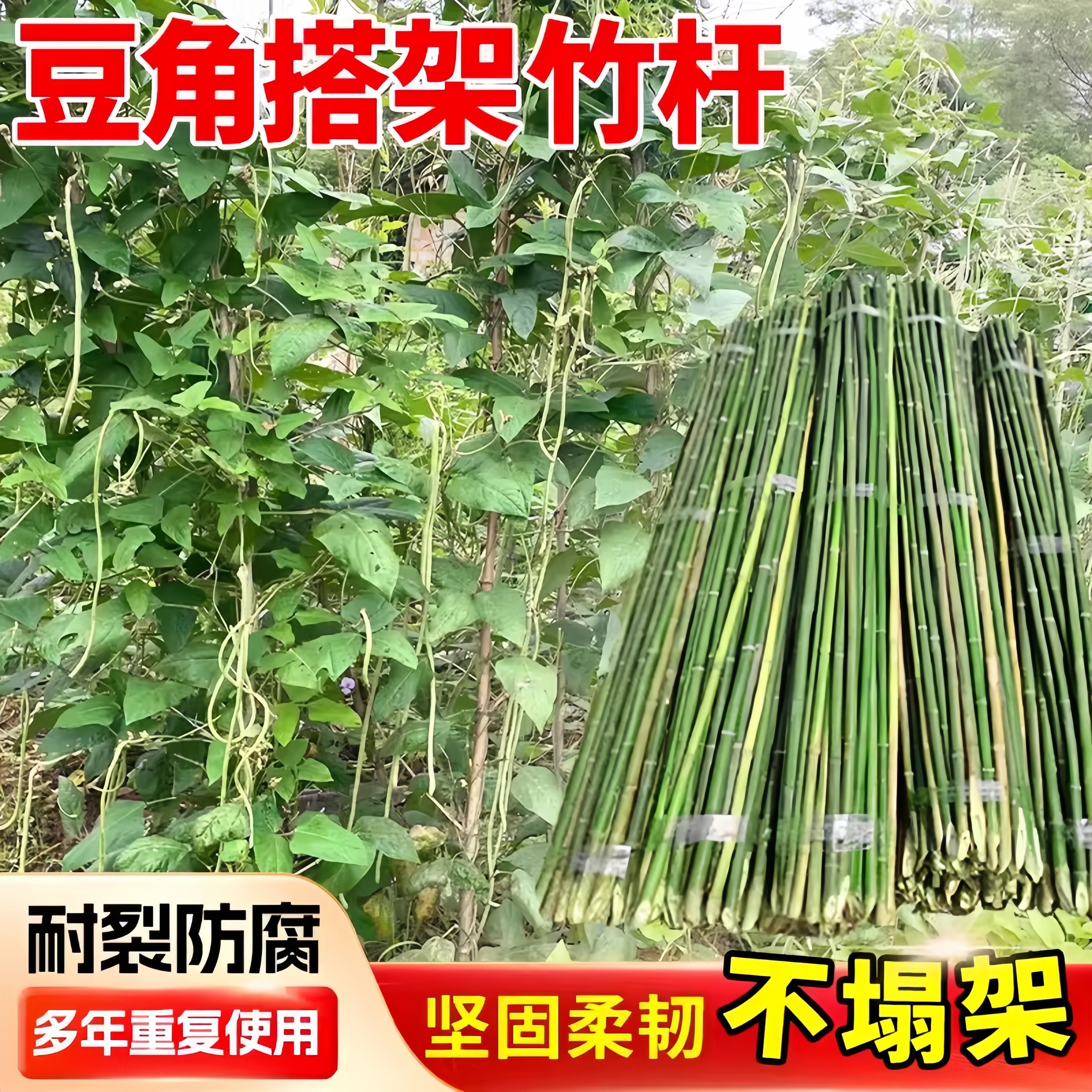 豆角架杆四季豆爬藤架竹竿菜园搭架竹子杆支架黄瓜葡萄架围栏