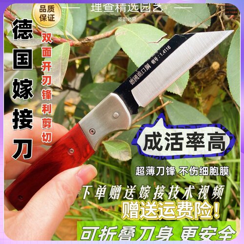 果树嫁接专用刀高硬度锋钢德国进口嫁接刀可折叠园艺花卉芽接刀y