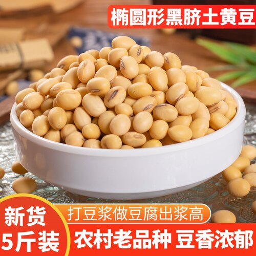 老品种椭圆形土黄豆打豆浆做豆腐