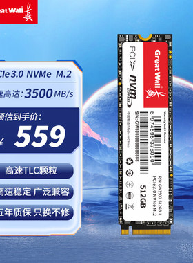 长城512GBM.2NVMePCIE3.0
