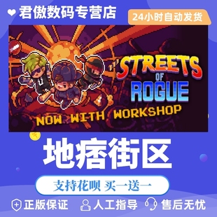 Steam PC正版 游戏 地痞街区 Streets of Rogue 君傲数码