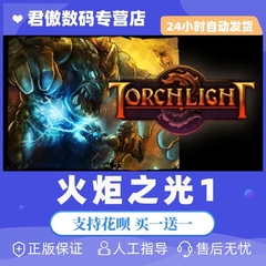 Steam PC正版 游戏 火炬之光 Torchlight I 火炬之光1 火炬之光