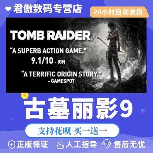 正版游戏古墓丽影专家
