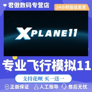 君傲数码 Plane 专业飞行模拟11 Steam 游戏 PC正版