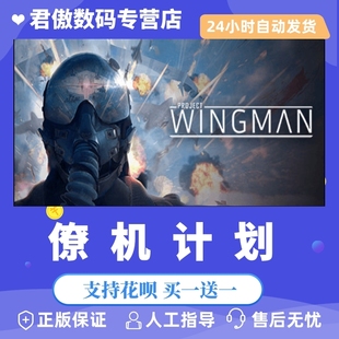 Steam PC正版 游戏  僚机计划 翼人计划 Project Wingman 君傲数码