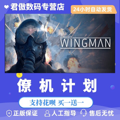 steampc正版游戏僚机计划翼人