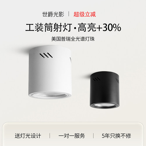 led明装射灯商场吊装工程筒灯