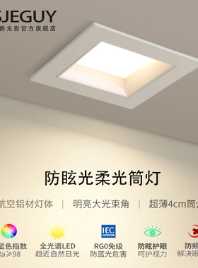 超薄方形筒灯单头嵌入式家用客厅led天花吊顶店铺商用格栅斗胆灯