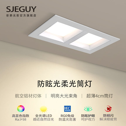 led超薄双头筒灯嵌入式家用走廊过道商用办公室长方形格栅斗胆灯