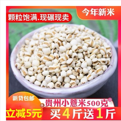 新鲜薏米,薏米,红豆薏米(第2页)_大山谷图库