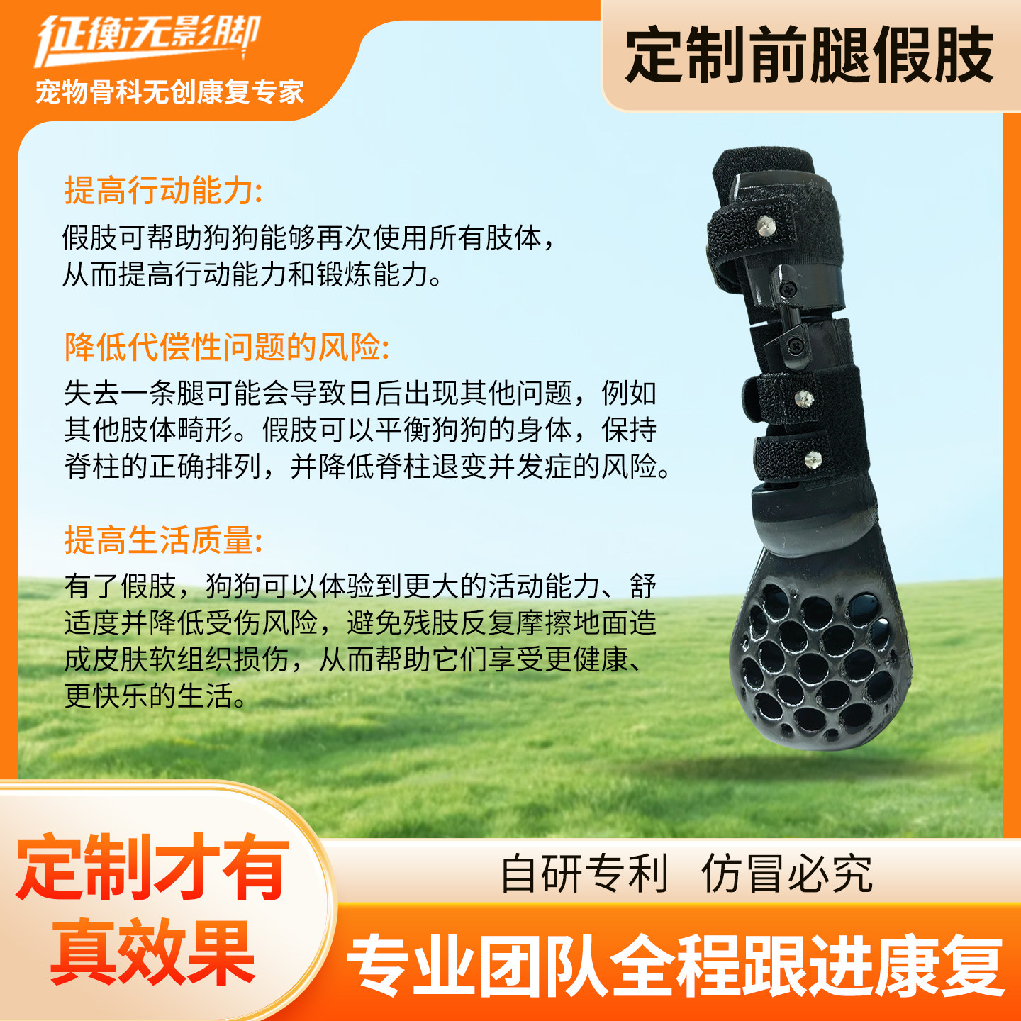 定制狗狗前肢假肢宠物前腿假肢小狗前腿截肢假肢定制