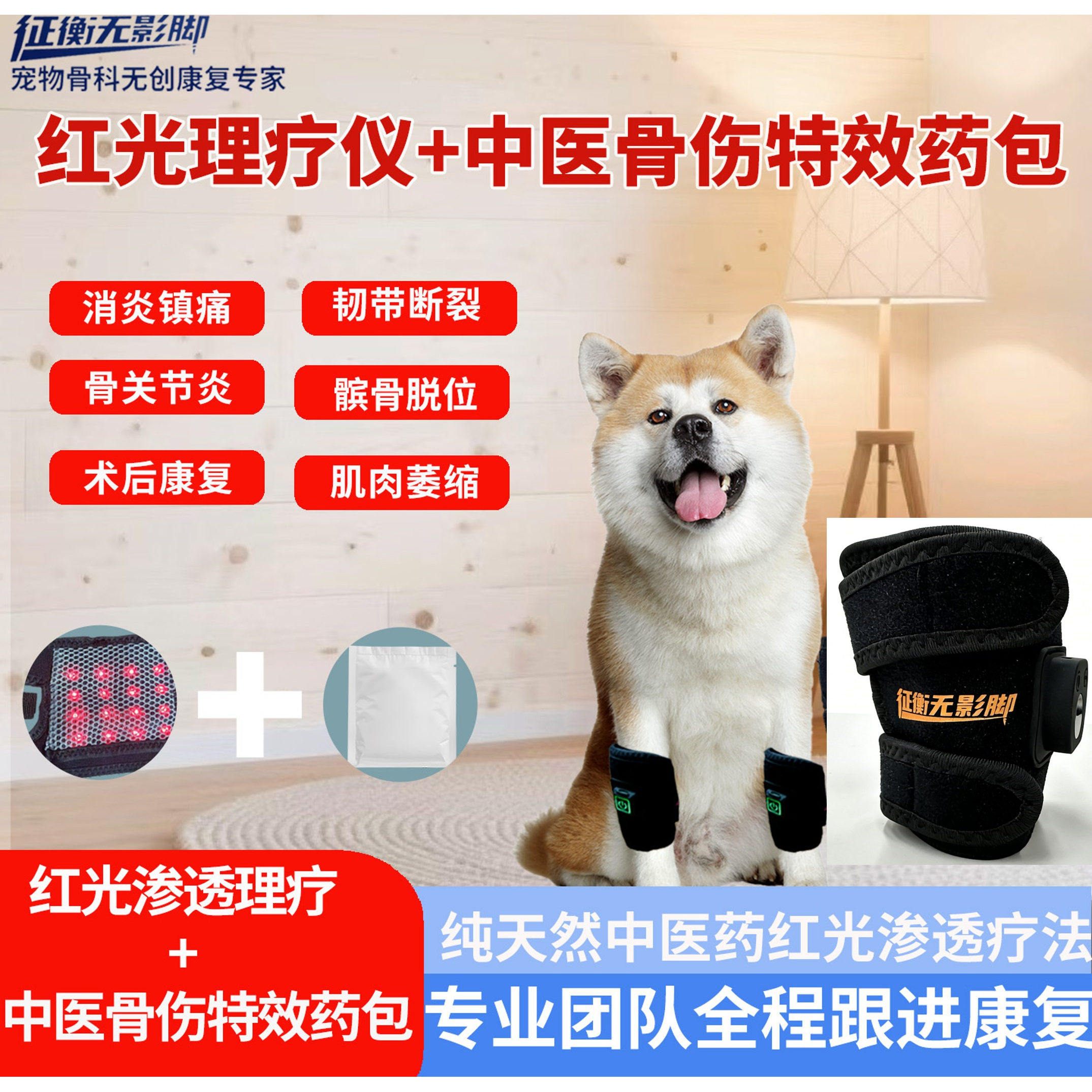 宠物红光理疗仪狗髌骨韧带理疗犬远红外线理疗灯宠物中医理疗