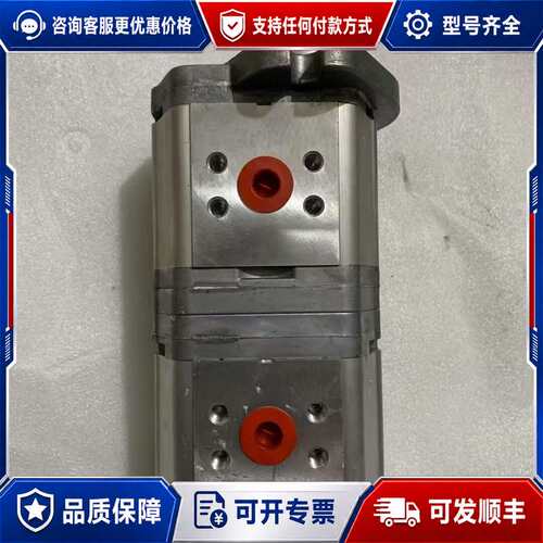 议价萨奥 双联齿轮泵SNW2NN/012?RN?串SNP2NN8可维修