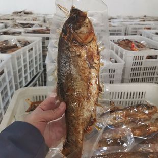 山东名吃东平湖特产五香糟鱼真空即食整条熟鲤鱼袋装500克包邮