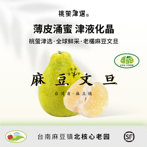 麻豆50年+老树！台湾麻豆文旦柚