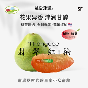 桃萤津选 翡翠红柚 红心泰柚 泰国中部·A+级原产树熟蜜柚 礼盒SF